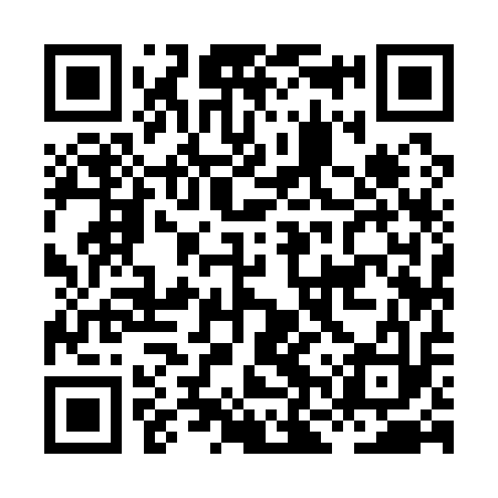 QR code for HNY113