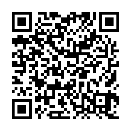 QR code for HNY161