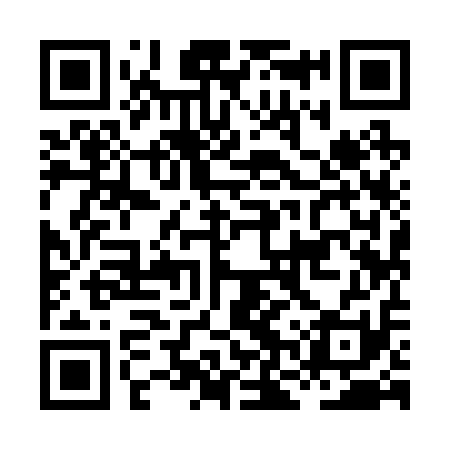 QR code for HNY211