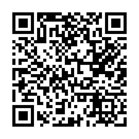 QR code for HNY363