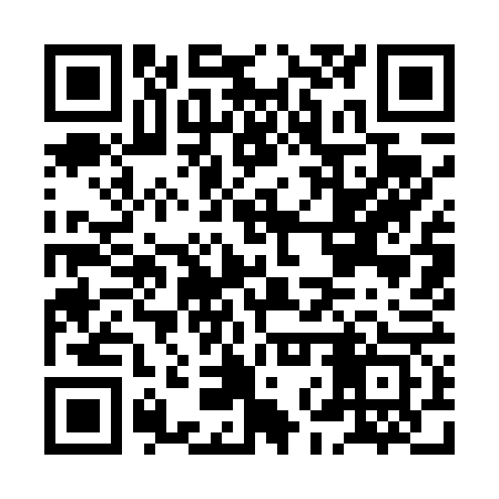 QR code for HNY463