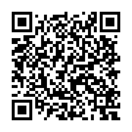 QR code for HNY509