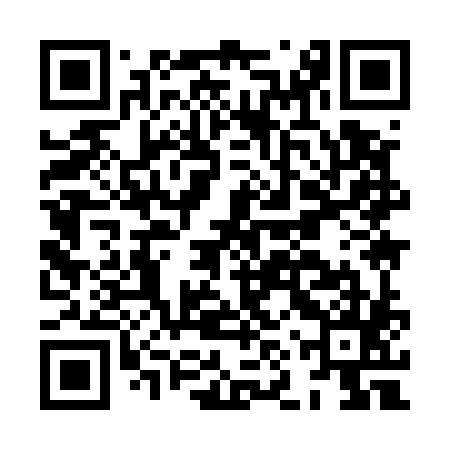QR code for HNY585