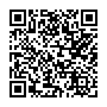 QR code for HNY613