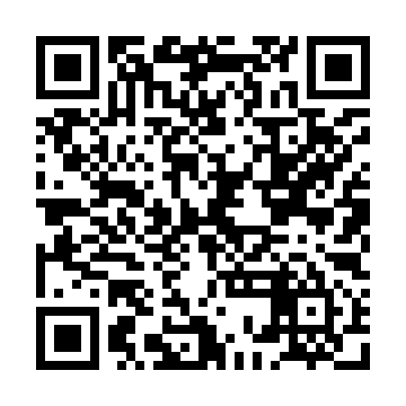 QR code for HOL995