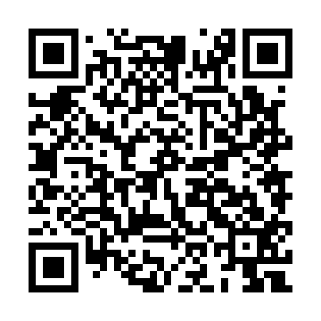 QR code for HON113