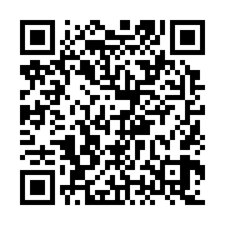 QR code for HON369