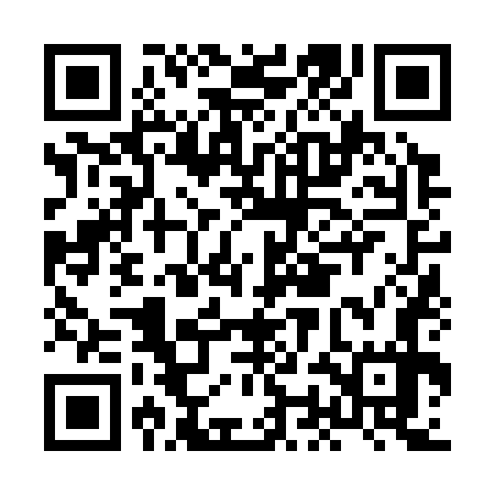 QR code for HON377