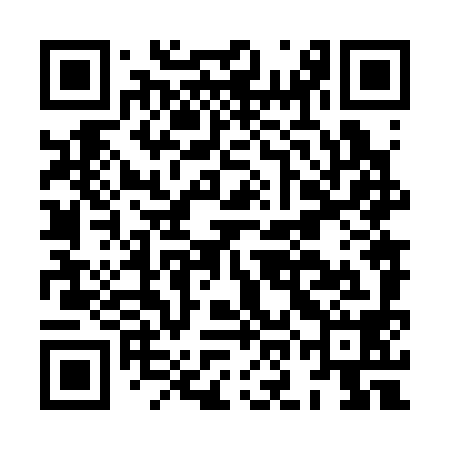 QR code for HON398