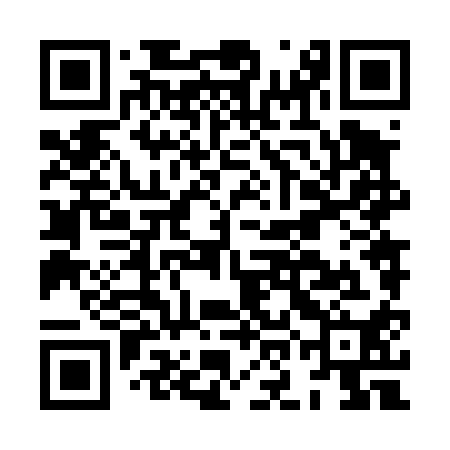 QR code for HON410