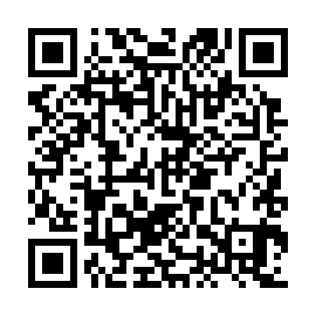 QR code for HOT381