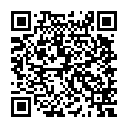 QR code for HPE499