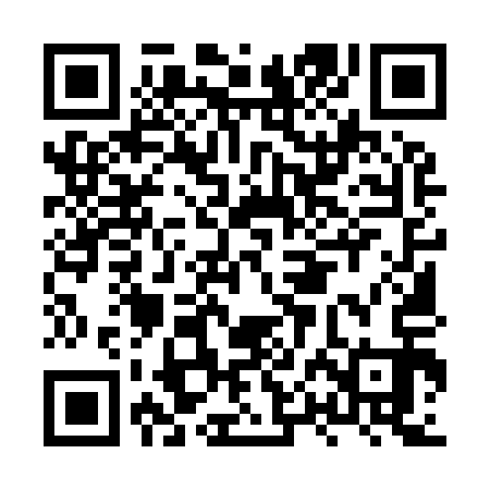 QR code for HPM913