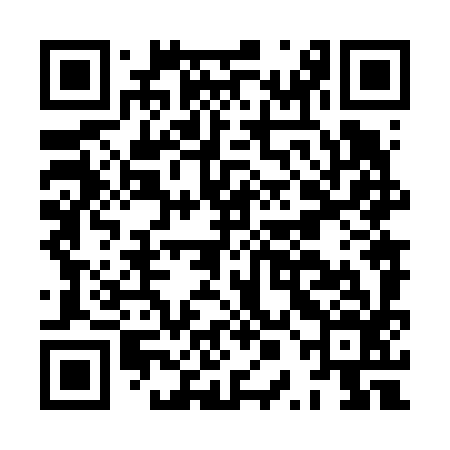 QR code for HPN696