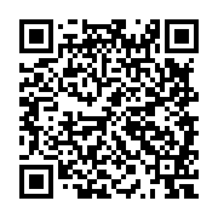 QR code for HPN881