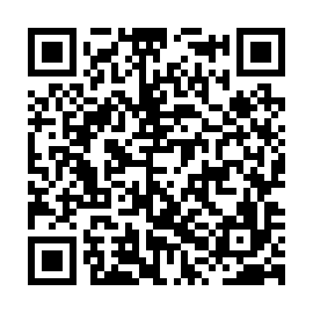 QR code for HPO296