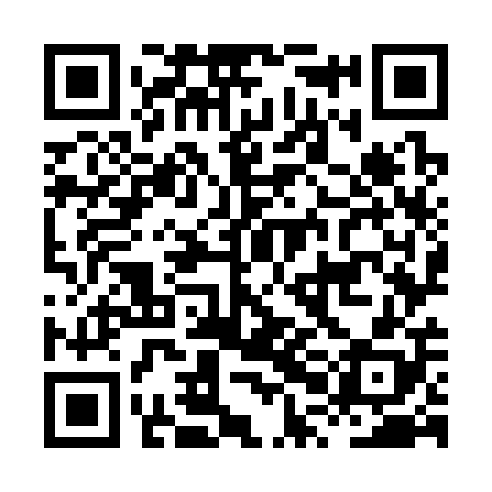 QR code for HPO308