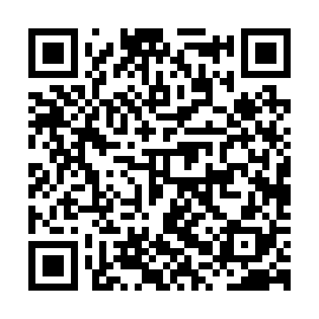 QR code for HPP228