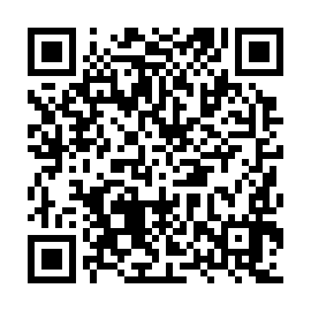 QR code for HPP397