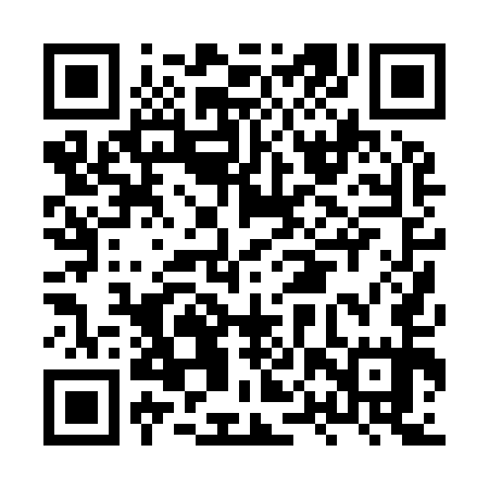 QR code for HPP955