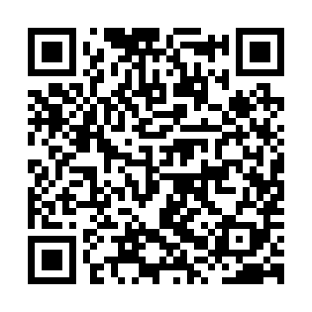 QR code for HPQ289
