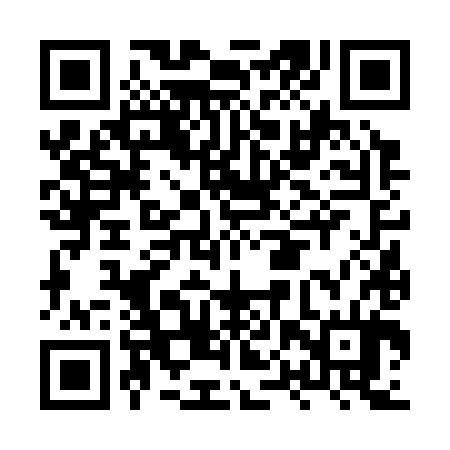 QR code for HPV384