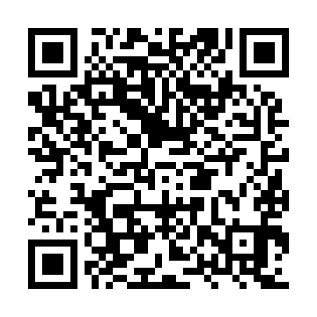 QR code for HPV991