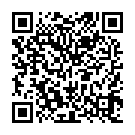 QR code for HPZ919