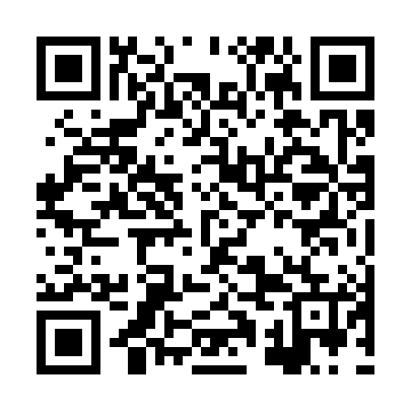 QR code for HQN385