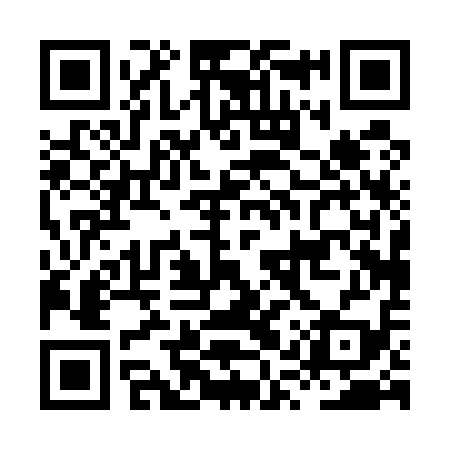 QR code for HQP519