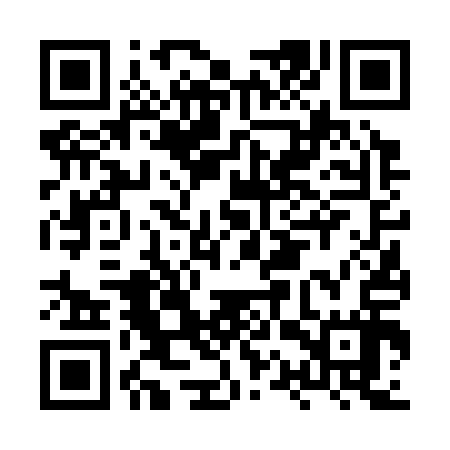 QR code for HQV317
