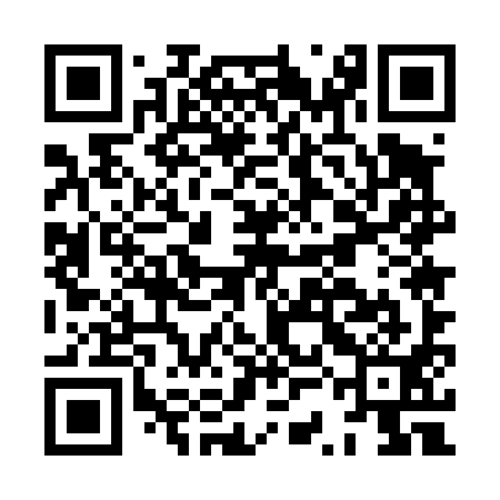 QR code for HSE491