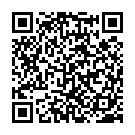 QR code for HSE561