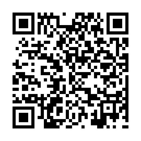 QR code for HSF317