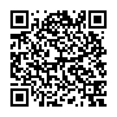 QR code for HSG738