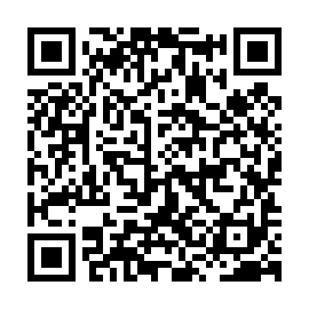 QR code for HSK491