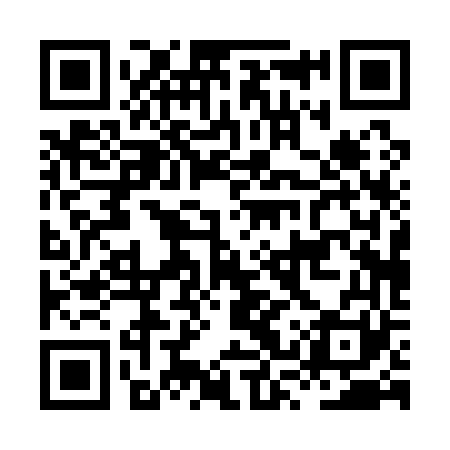 QR code for HSP161