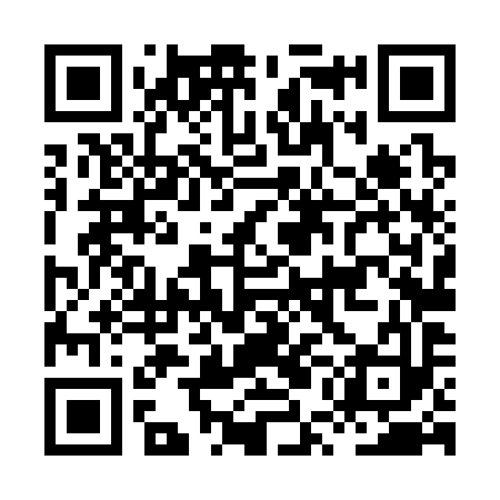 QR code for HUL393