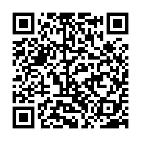QR code for HWC919