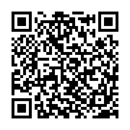 QR code for HXH317