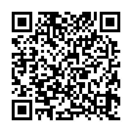 QR code for HXS339