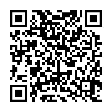 QR code for HYF384