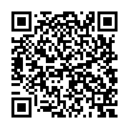 QR code for HYF913
