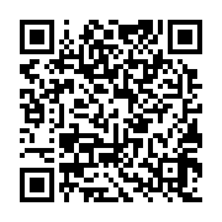 QR code for HYG318