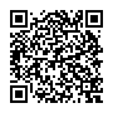 QR code for HYI219