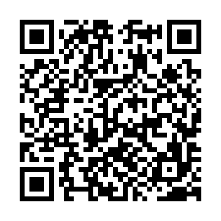 QR code for HYN396