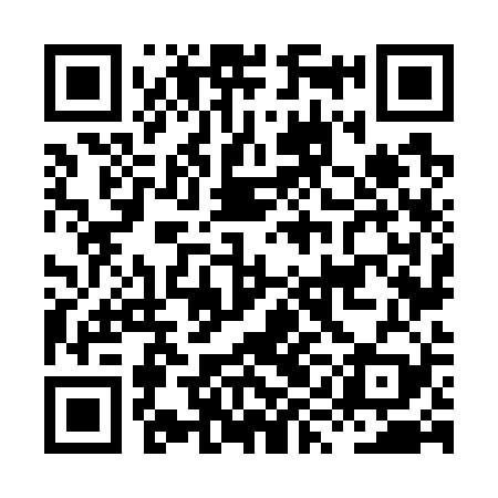 QR code for HYN729