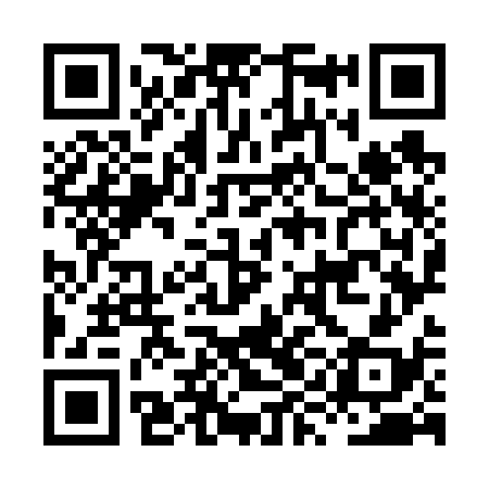 QR code for HYO638