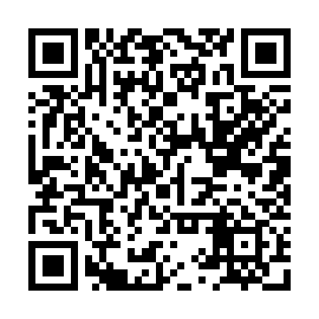 QR code for HYQ339