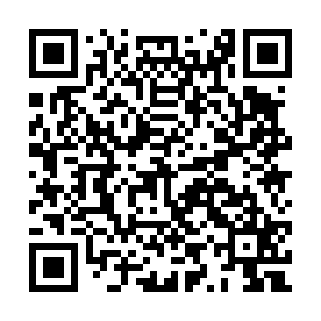 QR code for HYQ425